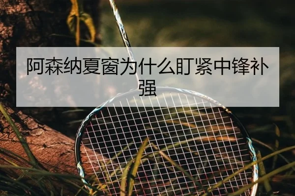 阿森纳夏窗为什么盯紧中锋补强